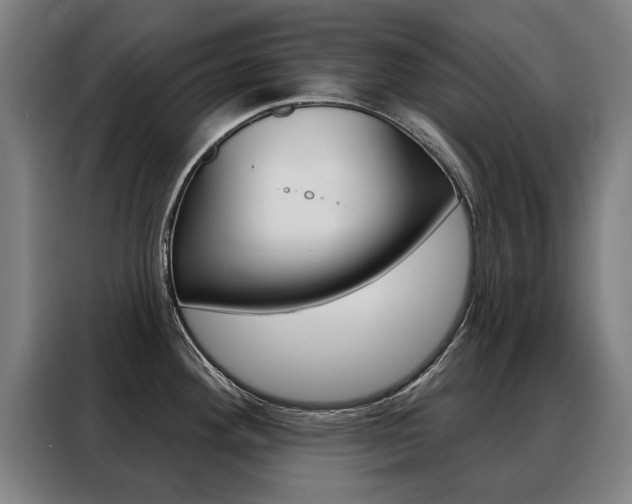 X0000088431292200705220846