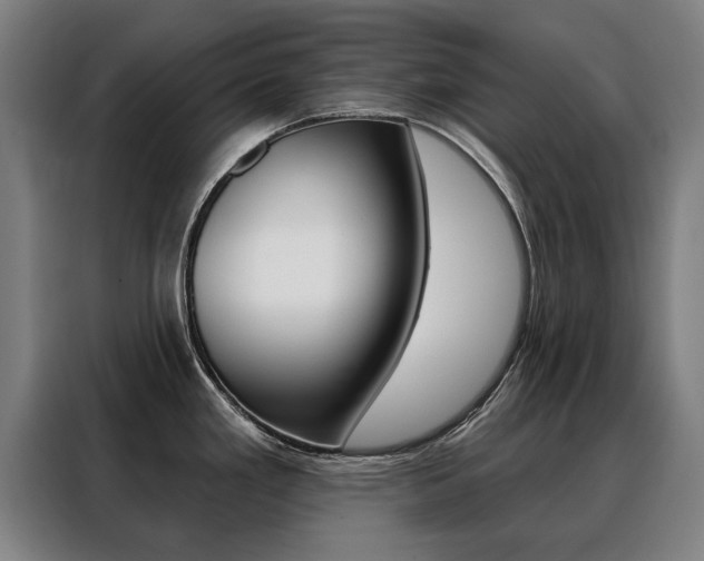 X0000088431293200705220846