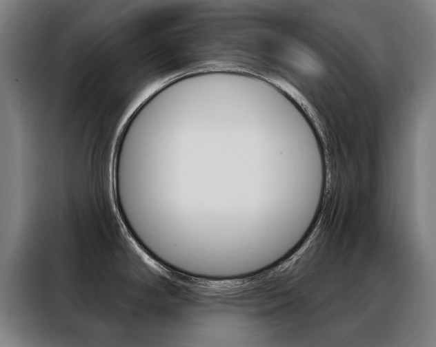X0000088431294200705220846