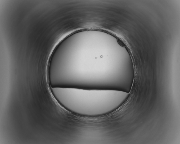 X0000088431295200705220846