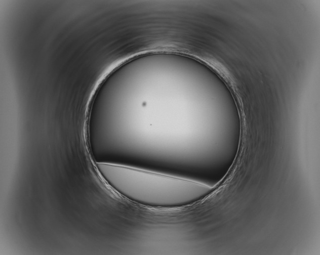 X0000088431296200705220846