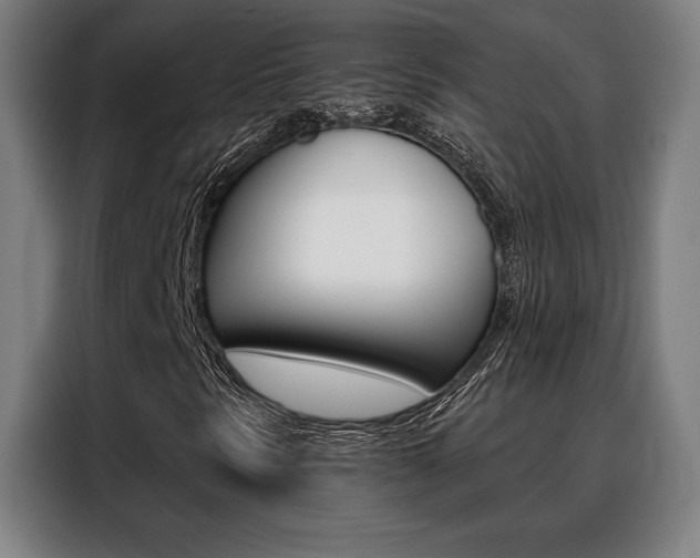 X0000088431297200705220845