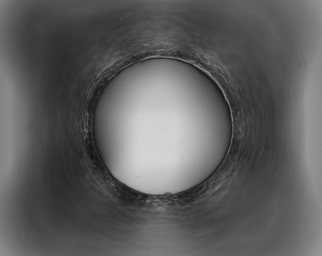 X0000088431301200705220846