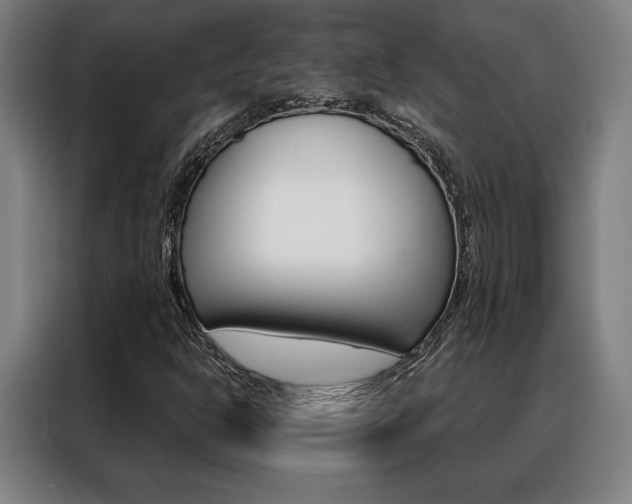 X0000088431302200705220846