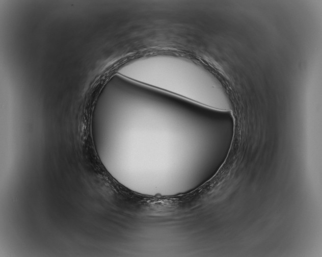 X0000088431303200705220846