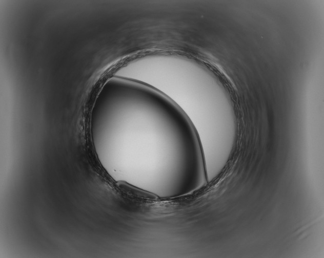X0000088431304200705220846