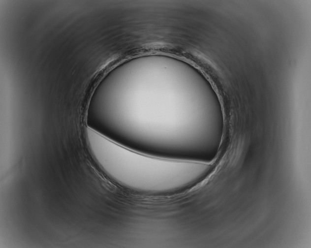 X0000088431305200705220846