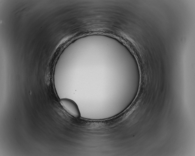 X0000088431306200705220846