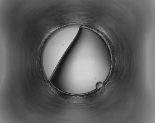 X0000088431307200705220846