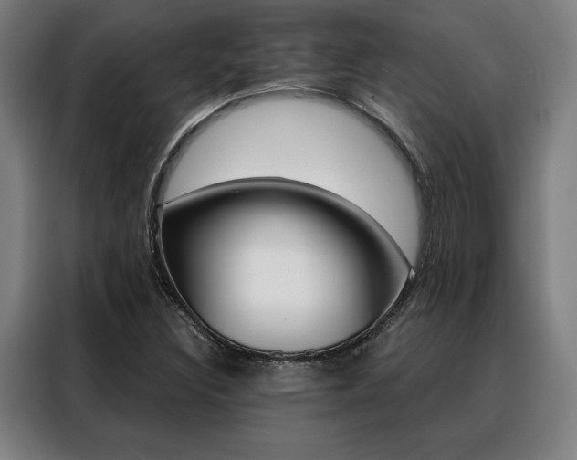 X0000088431308200705220846