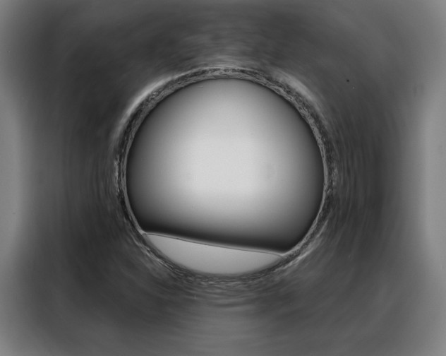 X0000088431310200705220846