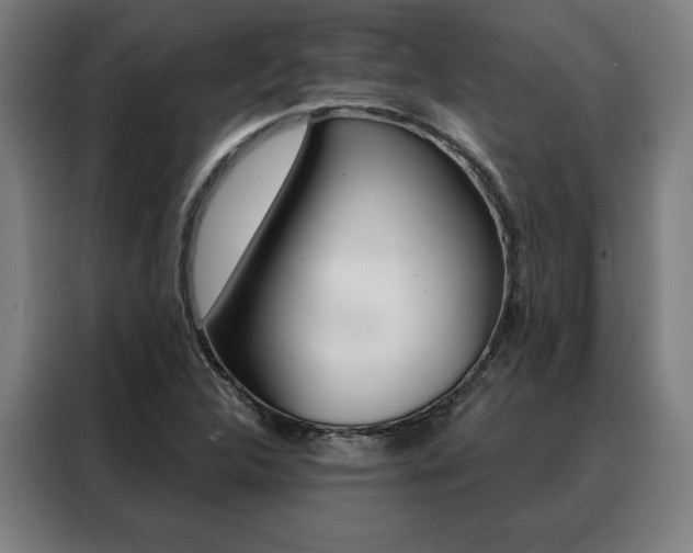 X0000088431312200705220846
