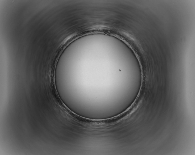 X0000088431313200705220846
