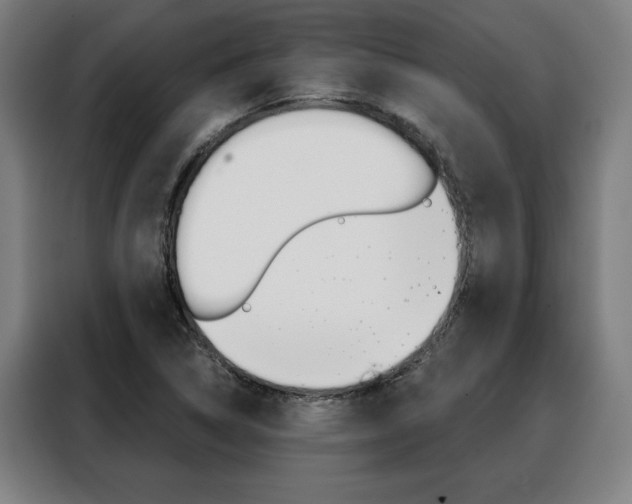 X0000088431314200705220846