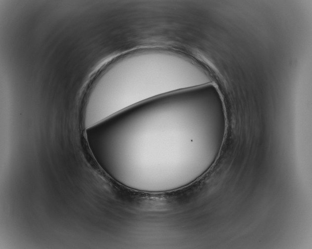 X0000088431315200705220846
