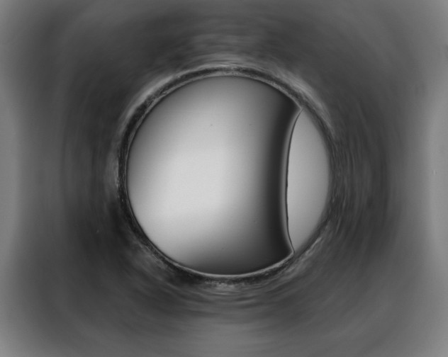 X0000088431318200705220846