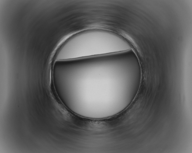 X0000088431323200705220846