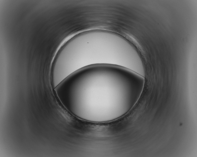 X0000088431324200705220846