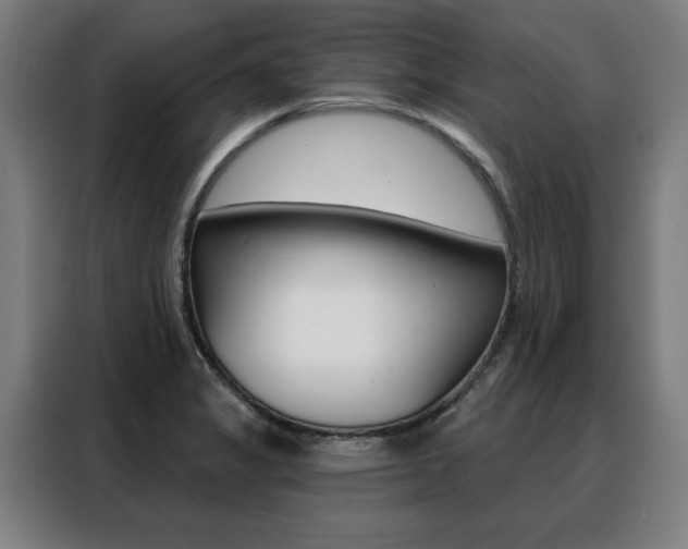 X0000088431325200705220846