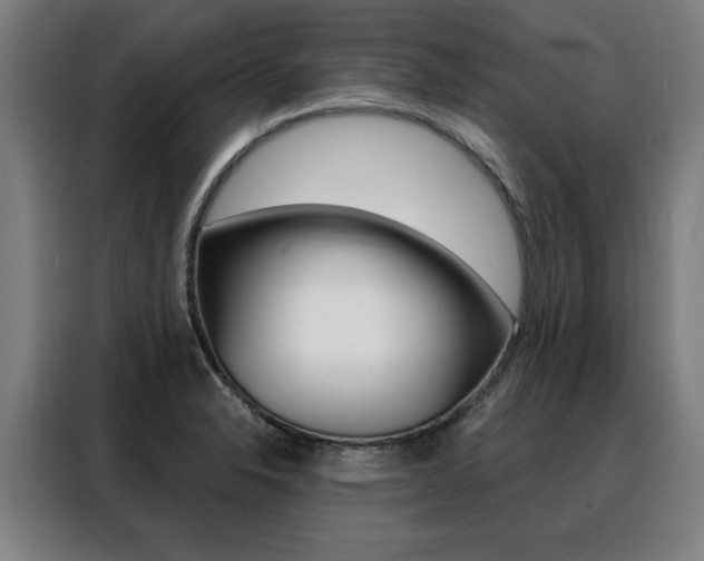 X0000088431326200705220846