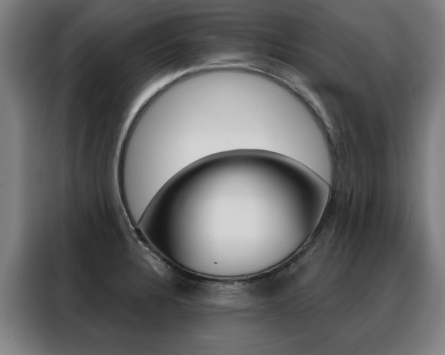X0000088431328200705220846