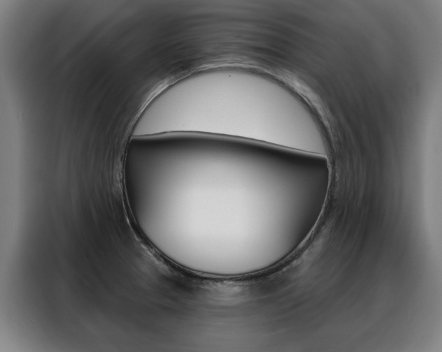 X0000088431329200705220846