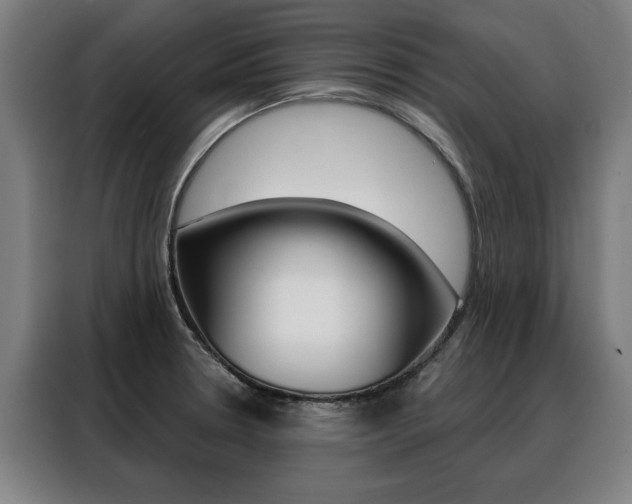 X0000088431330200705220846
