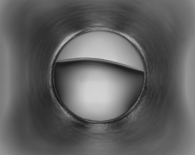X0000088431333200705220846