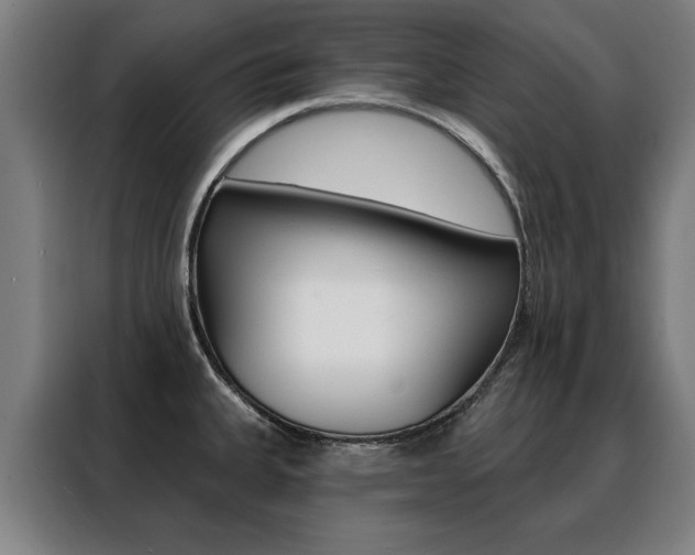 X0000088431335200705220846