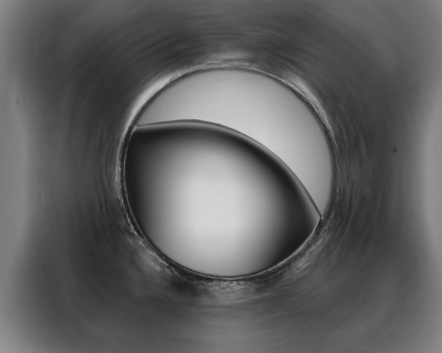 X0000088431336200705220846