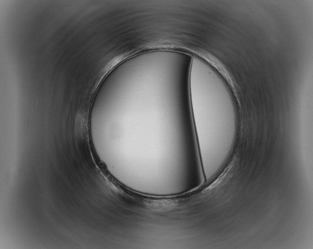 X0000088431337200705220846