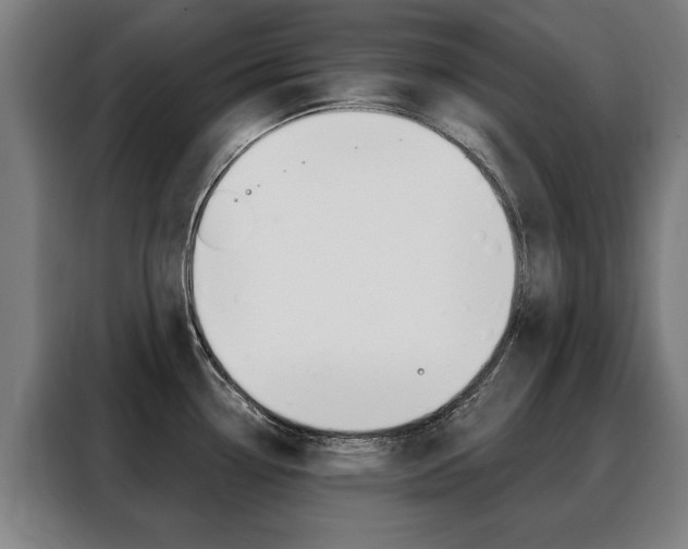 X0000088431338200705220846