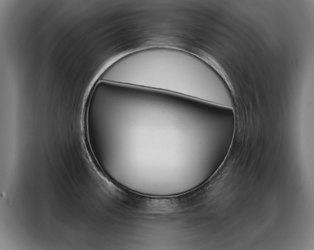 X0000088431339200705220846