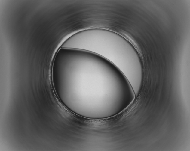 X0000088431340200705220846