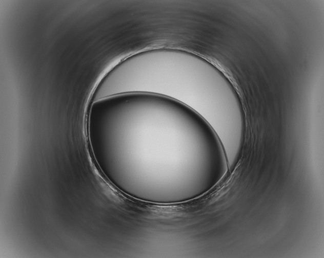 X0000088431342200705220846