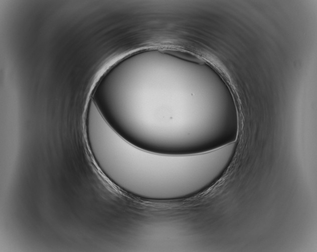 X0000088431344200705220846