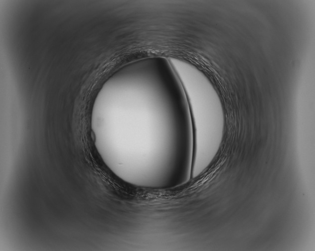 X0000088431345200705220845