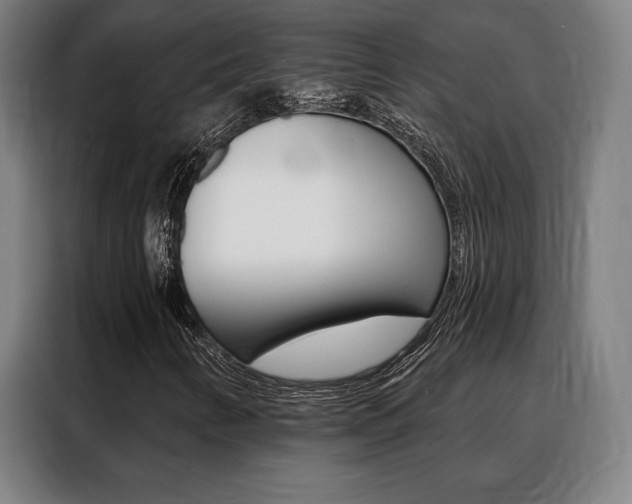 X0000088431346200705220845