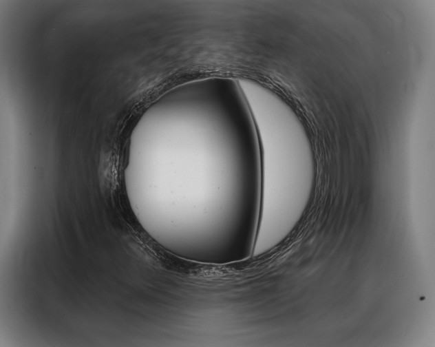 X0000088431348200705220845