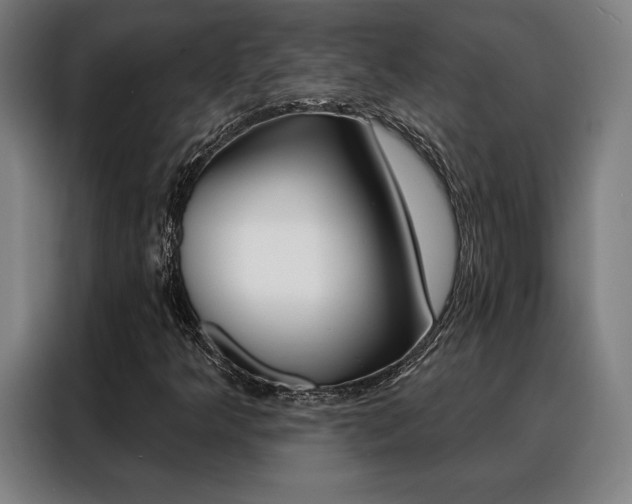 X0000088431349200705220845