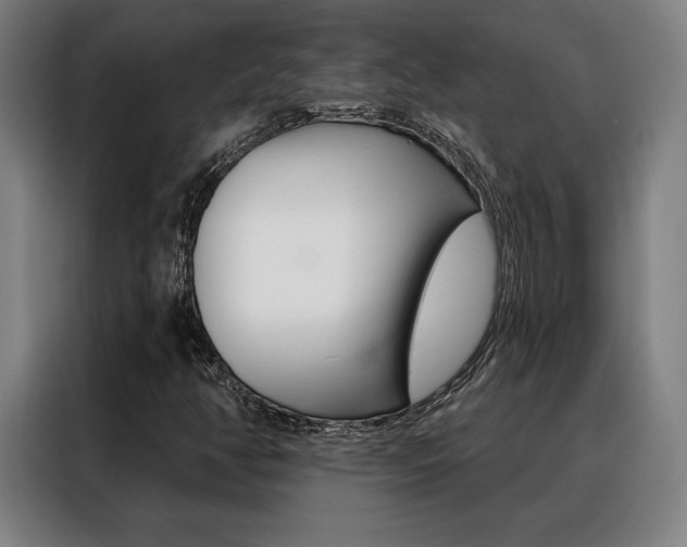 X0000088431350200705220845