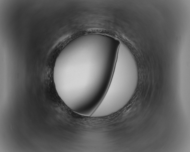 X0000088431351200705220845