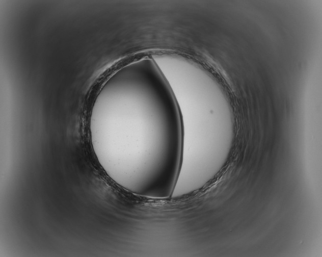 X0000088431352200705220845