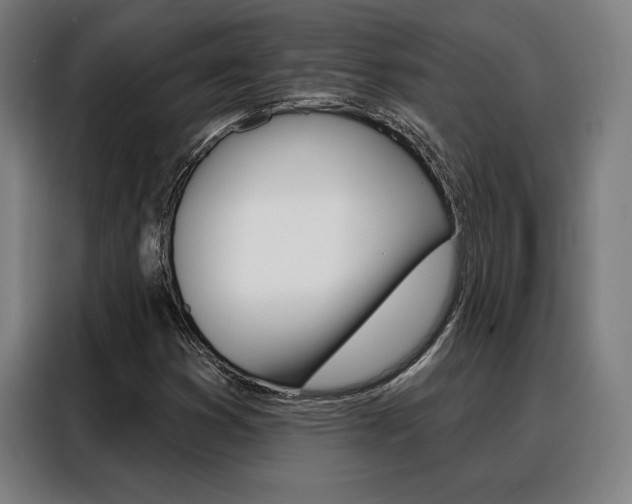 X0000088431353200705220845