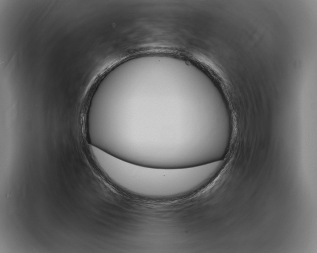 X0000088431357200705220845