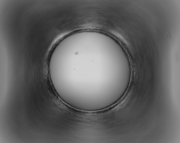 X0000088431358200705220845