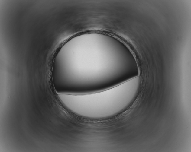 X0000088431359200705220845