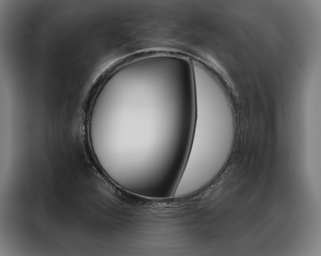 X0000088431360200705220845