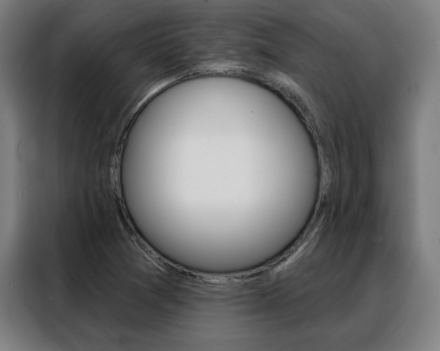 X0000088431361200705220845