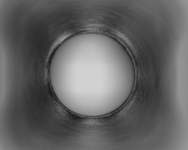 X0000088431362200705220845